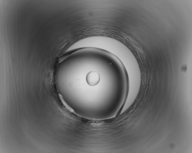 X0000097900560200803211444
