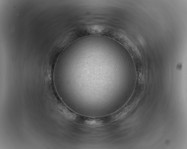X0000097900561200803211444