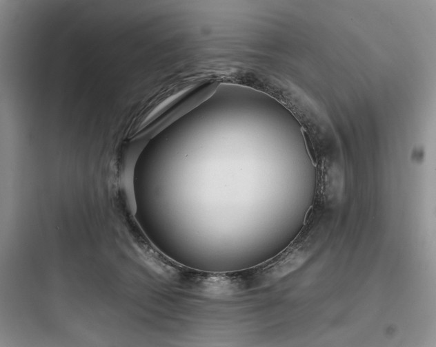 X0000097900562200803211444