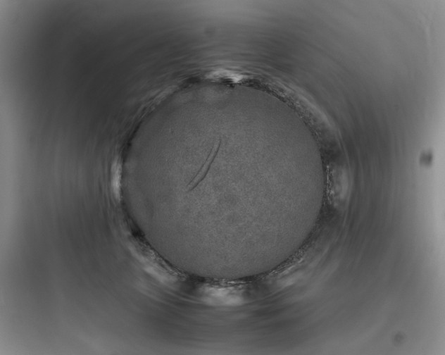 X0000097900563200803211444