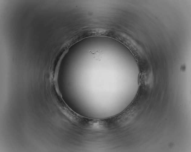 X0000097900564200803211444