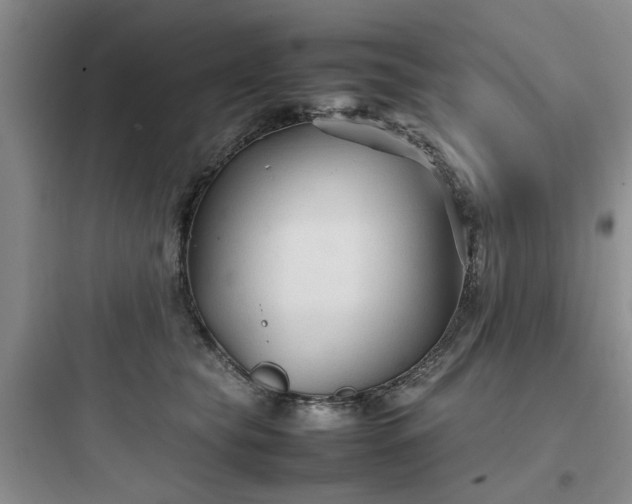 X0000097900565200803211444