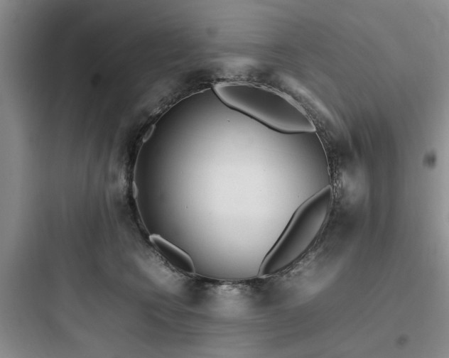 X0000097900566200803211444