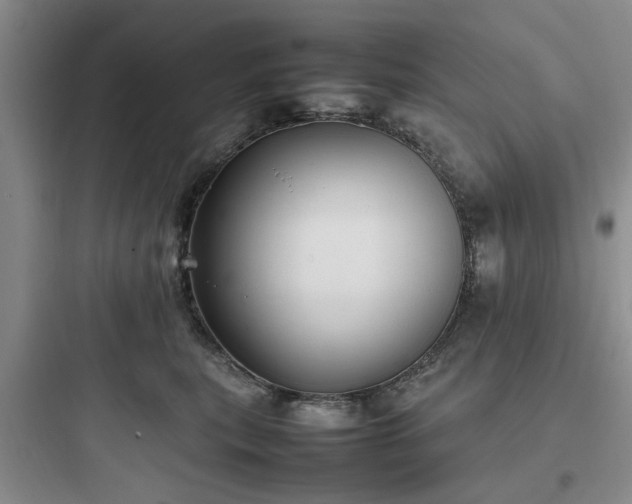 X0000097900567200803211444