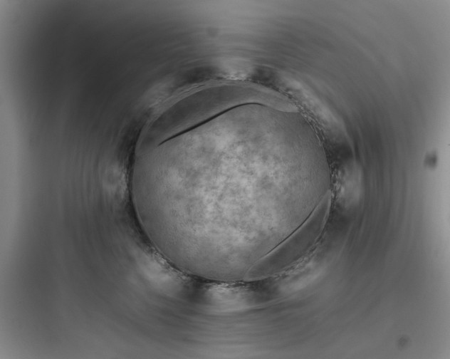 X0000097900568200803211444