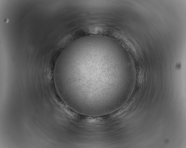 X0000097900569200803211444