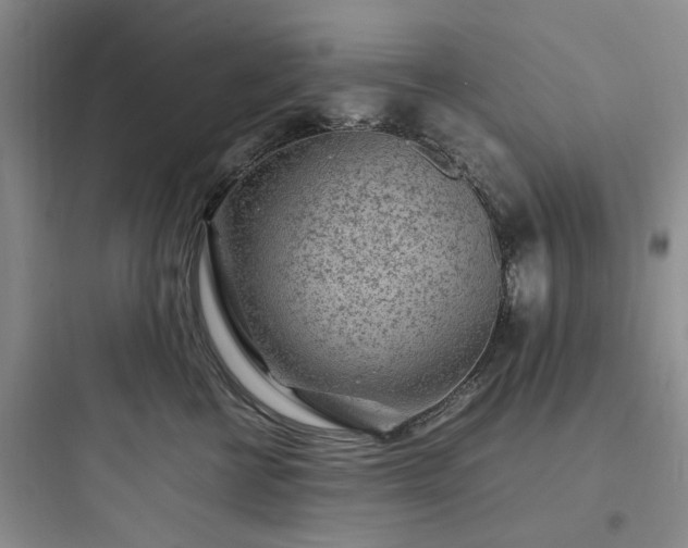 X0000097900570200803211444