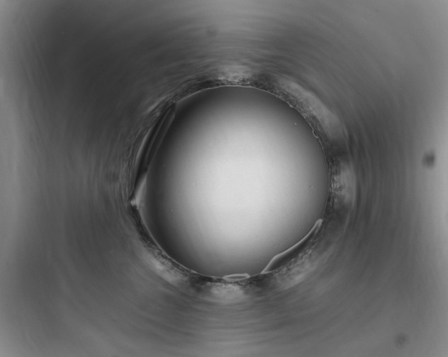 X0000097900572200803211444