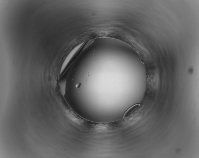 X0000097900574200803211444