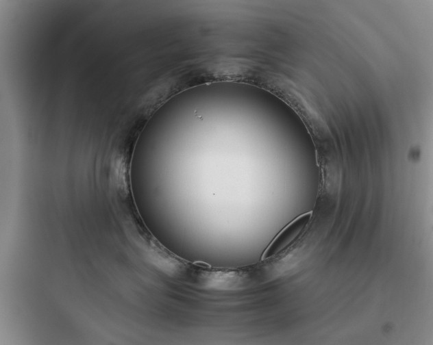 X0000097900575200803211444