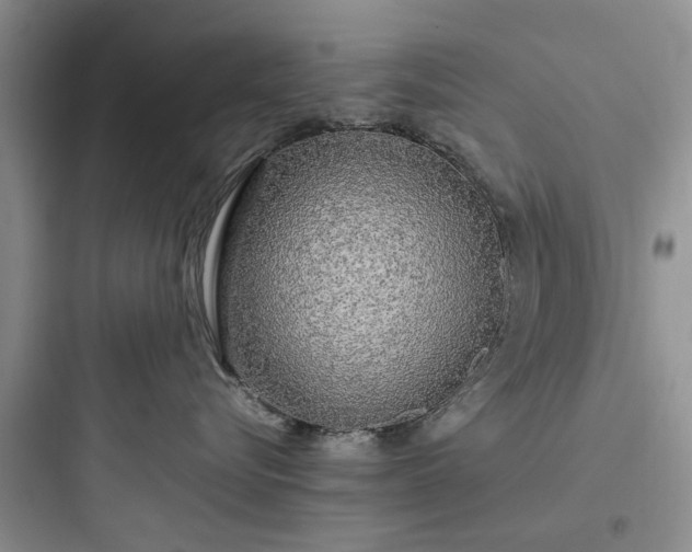 X0000097900576200803211444