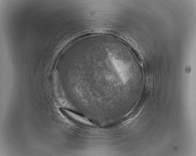 X0000097900577200803211443