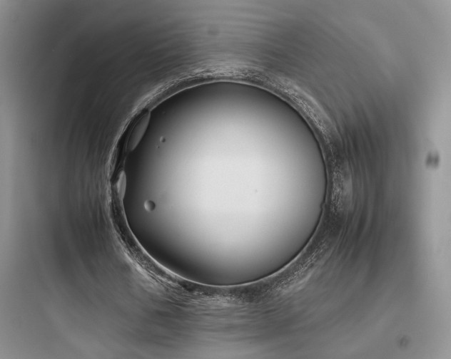X0000097900578200803211443