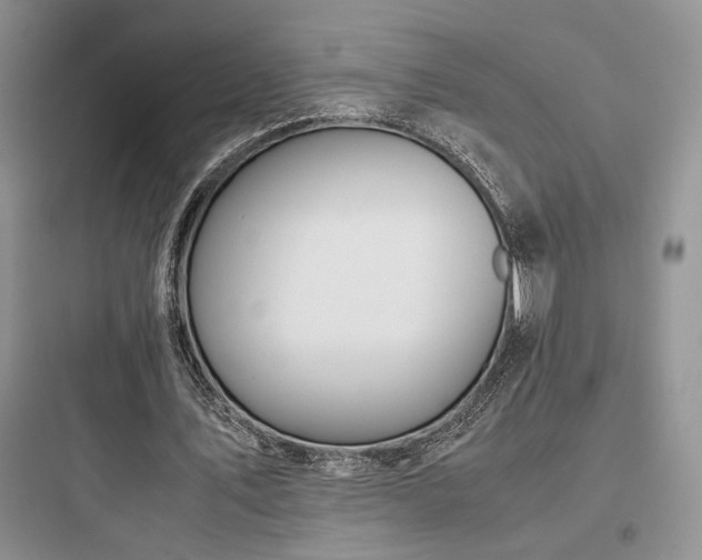 X0000097900579200803211443