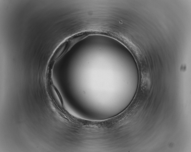 X0000097900580200803211443