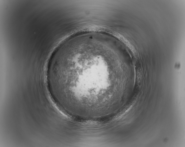 X0000097900581200803211443