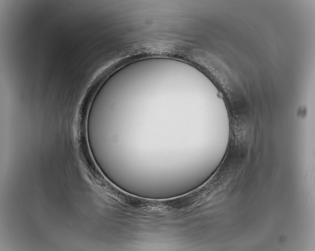 X0000097900583200803211443