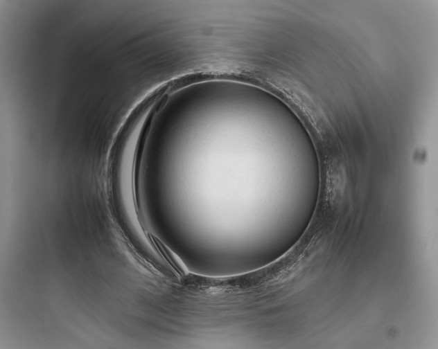 X0000097900584200803211443
