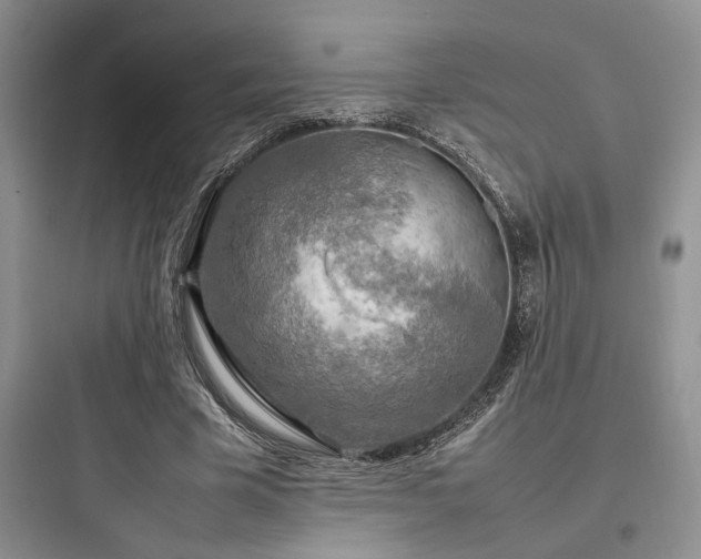 X0000097900585200803211443