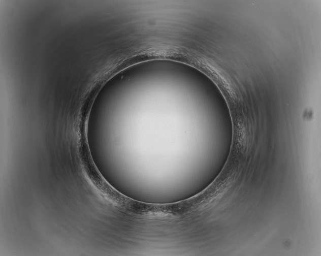 X0000097900586200803211443