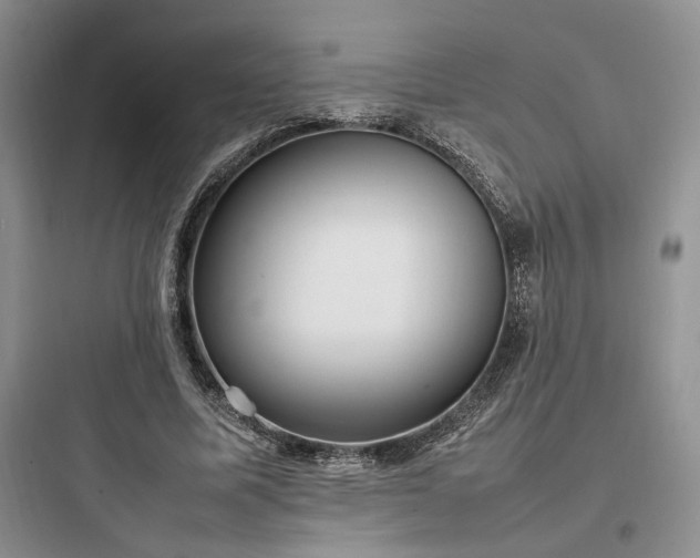 X0000097900587200803211443