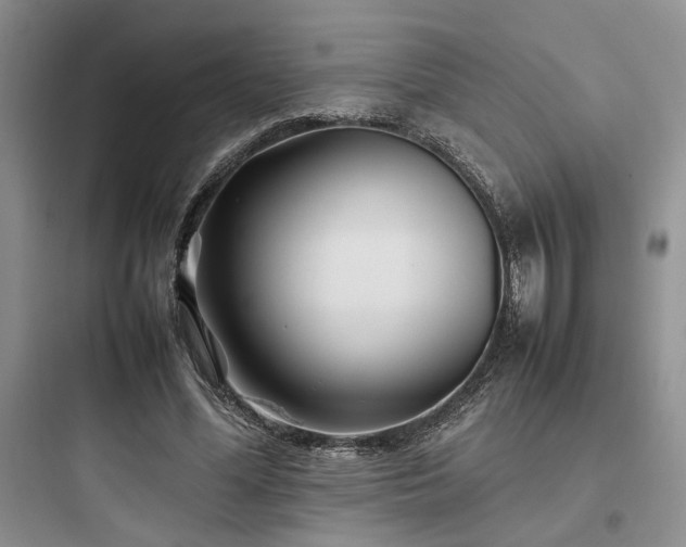 X0000097900588200803211443