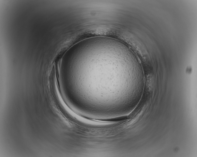 X0000097900589200803211443