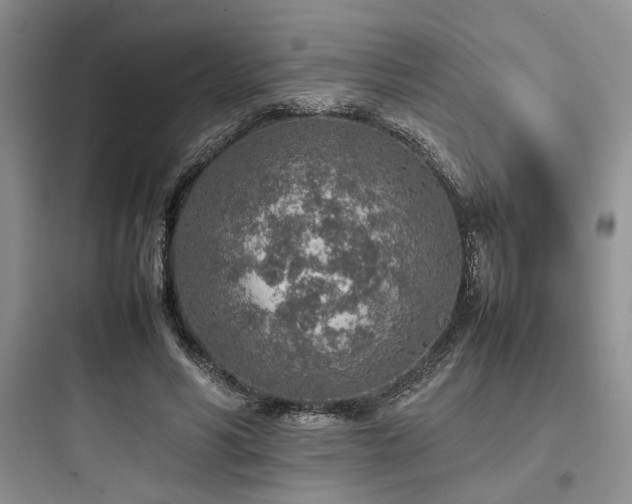 X0000097900590200803211443