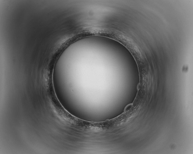 X0000097900592200803211443