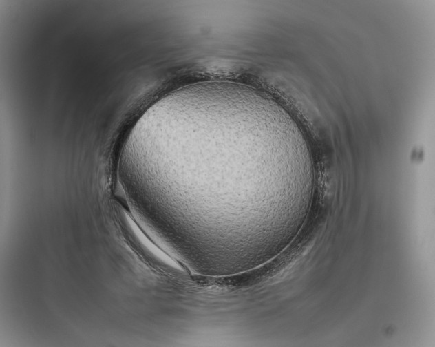 X0000097900593200803211443