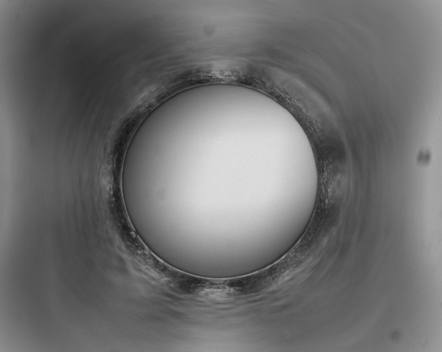 X0000097900595200803211443