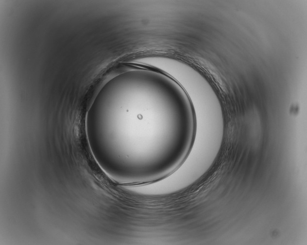 X0000097900596200803211443