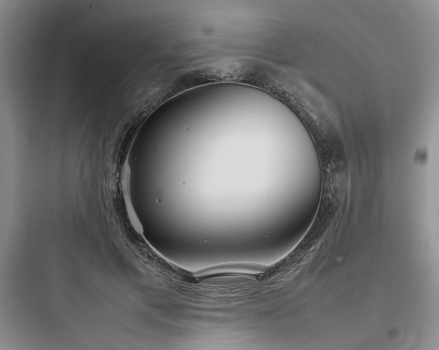 X0000097900597200803211443