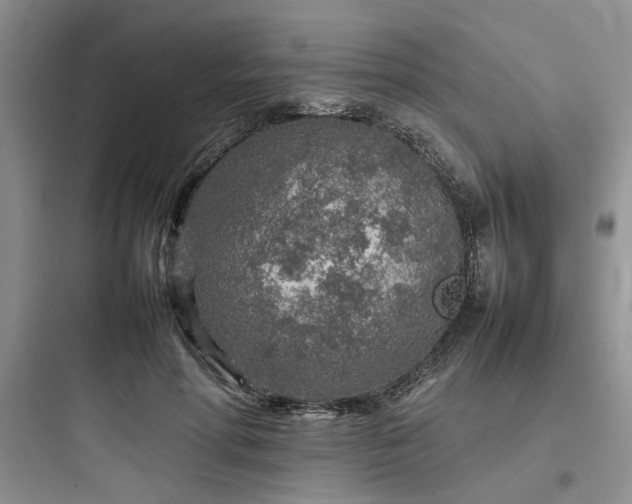 X0000097900598200803211443