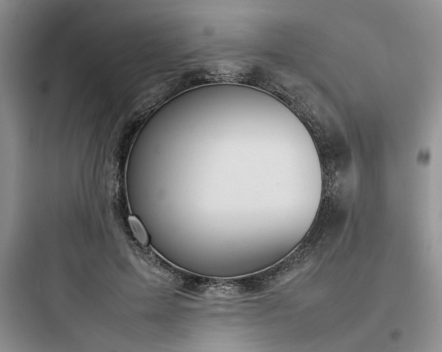 X0000097900599200803211443