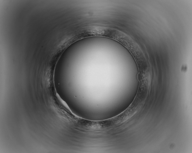 X0000097900600200803211443