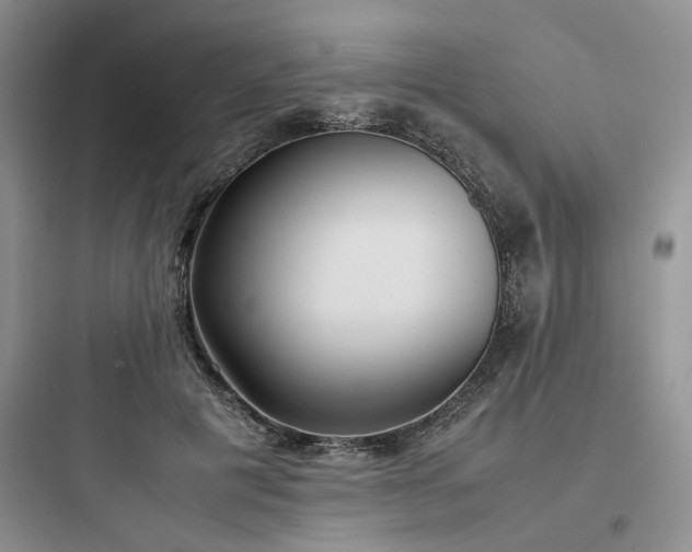 X0000097900601200803211443