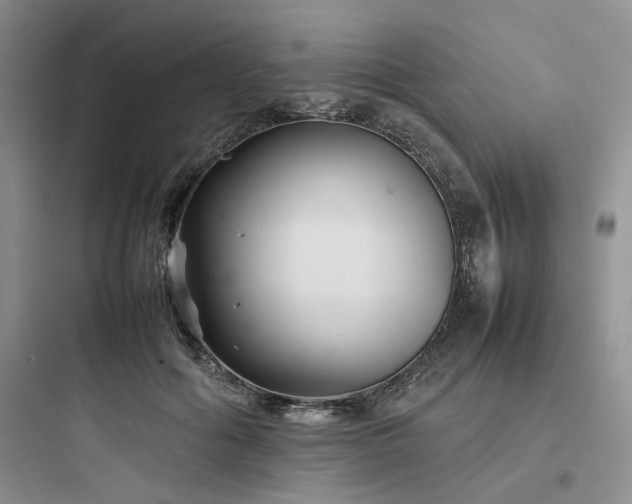 X0000097900602200803211443