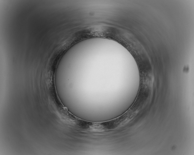 X0000097900603200803211443