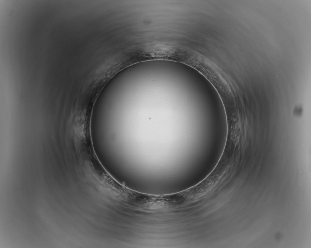 X0000097900604200803211443