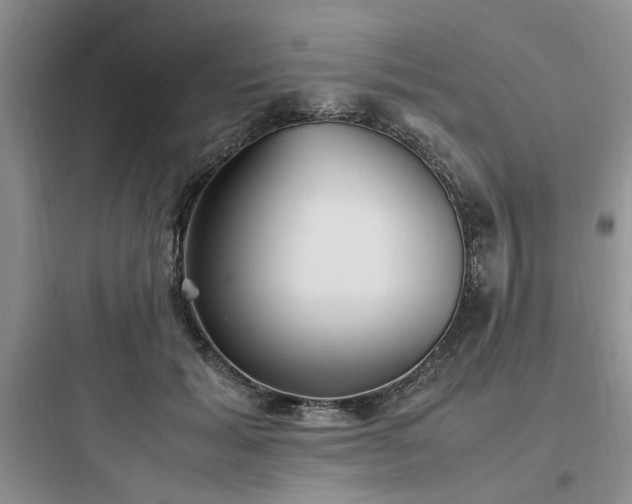 X0000097900605200803211443