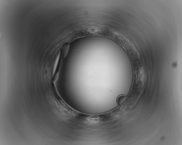 X0000097900606200803211443
