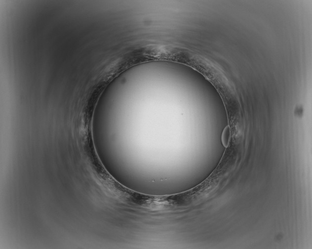 X0000097900607200803211443