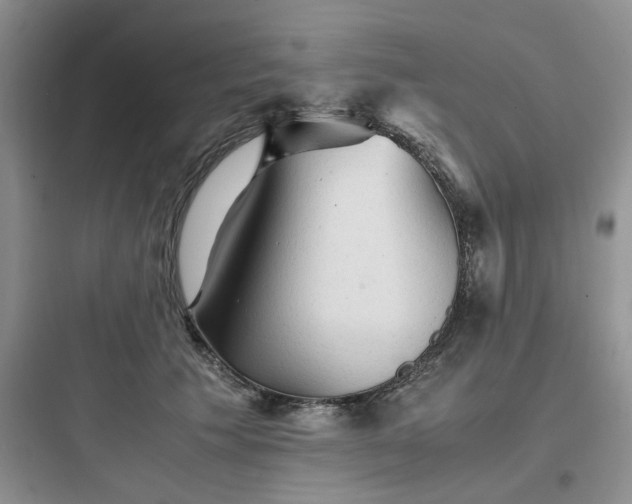 X0000097900609200803211443
