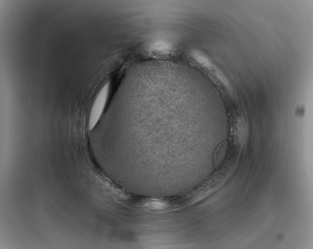 X0000097900610200803211443