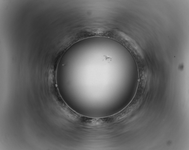 X0000097900612200803211443