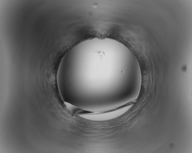 X0000097900613200803211443