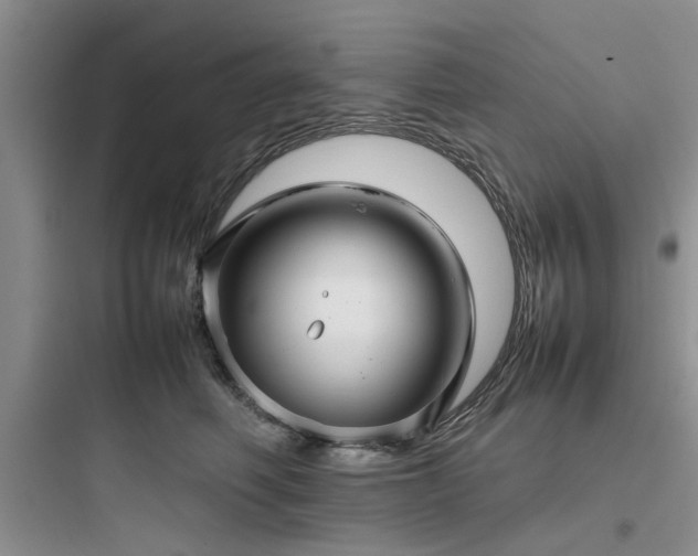 X0000097900614200803211443