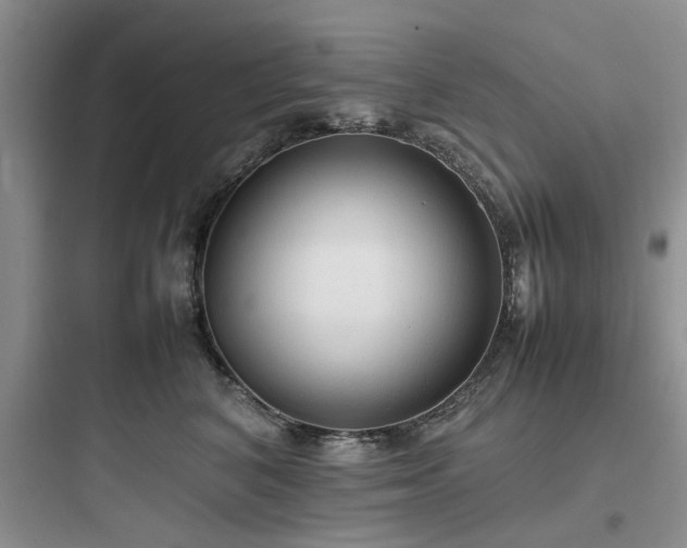 X0000097900616200803211443