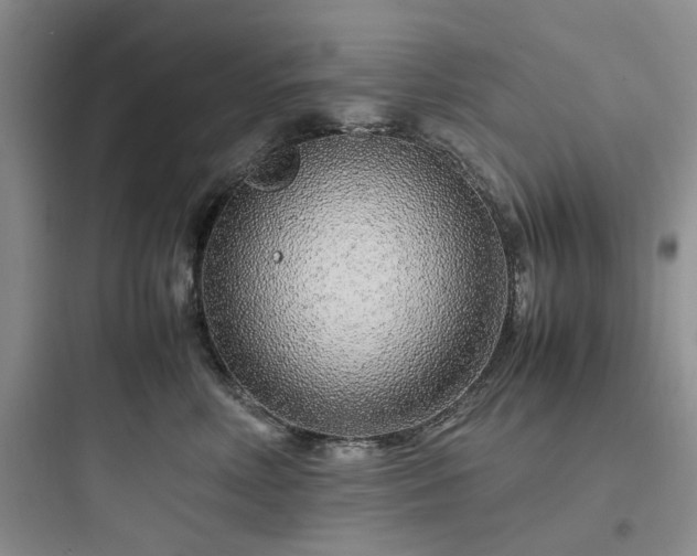 X0000097900618200803211443
